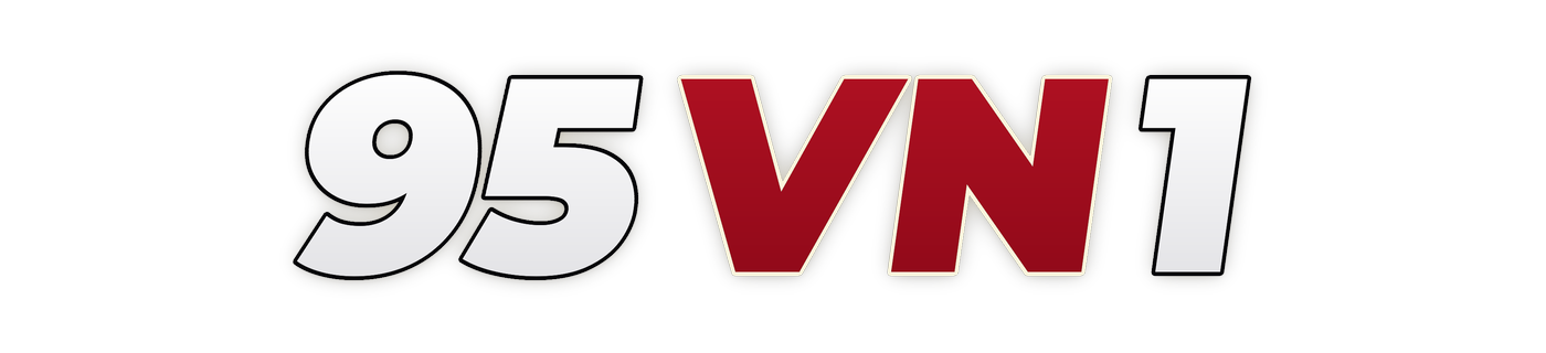 95vn1